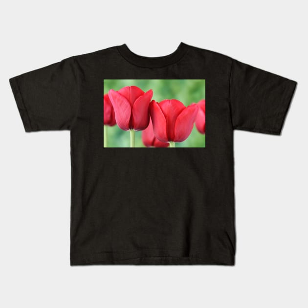 Tulip Kids T-Shirt by chrisburrows